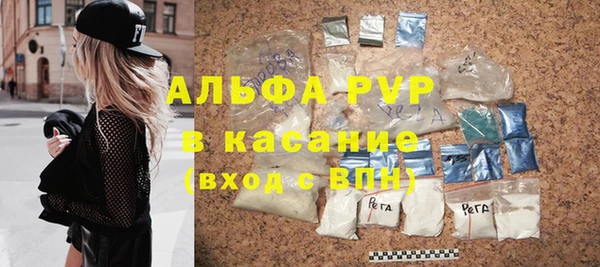 стаф Вяземский
