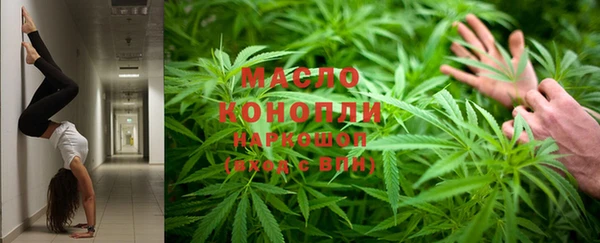 индика Волосово