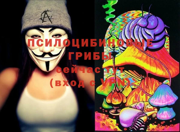 стаф Вяземский