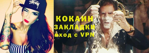 тгк Гусев