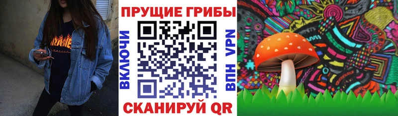 Галлюциногенные грибы мицелий  нарко площадка телеграм  Шахты 